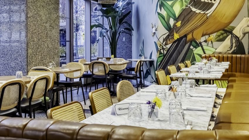 Pigeon Cafe - Montreal, QC
